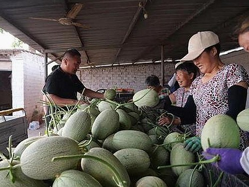 情绪稳定的“娱乐吃瓜酱”与狂热网友的反差：酱香四溢的欢乐背后